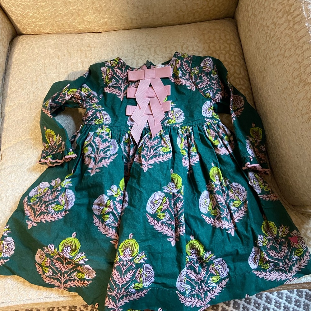 Pink Chicken Holiday Dress